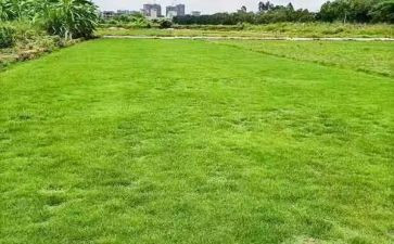 土地合同最新8篇