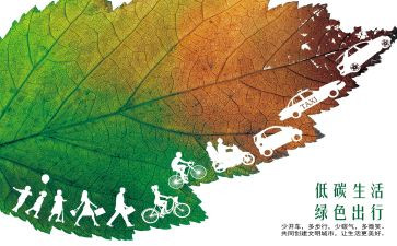 对低碳环保的心得体会7篇