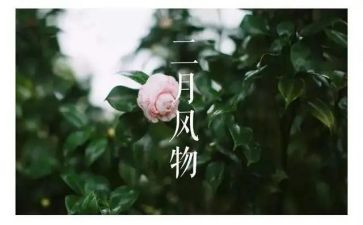 第二月的工作总结通用6篇