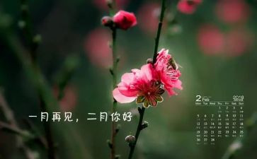 大班十二月份工作计划5篇