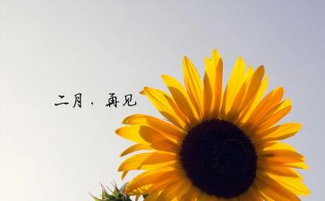 幼儿园二月工作计划5篇