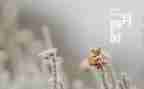 幼儿大班十二月工作总结5篇