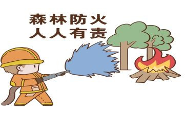 防火周工作总结6篇