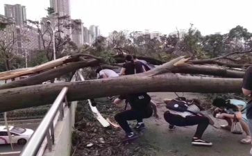 做好防汛防台工作总结5篇