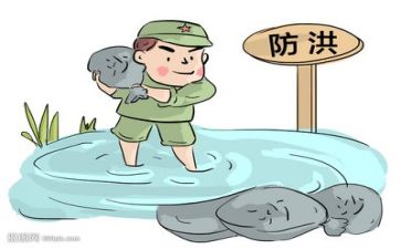 省防汛工作总结优秀8篇