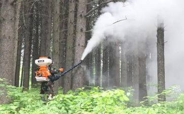 打污染防治工作汇报材料8篇
