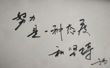 5以内数教案反思6篇