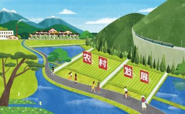 教师专业发展总结报告6篇