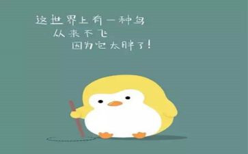 肥皂泡教案5篇