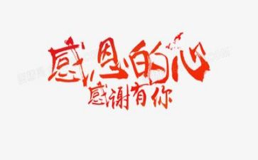 感恩老师教师总结6篇