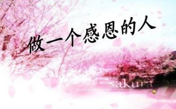 感恩节公司活动方案6篇