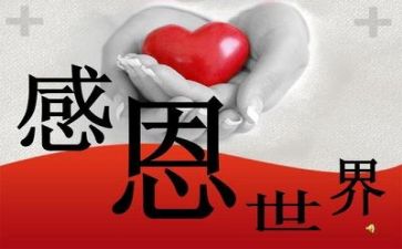 感恩节公司活动方案推荐8篇