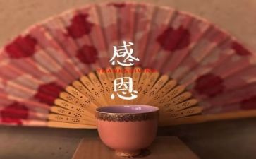 感恩的心教师总结8篇