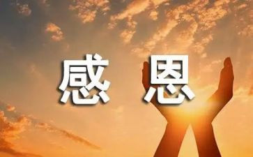 感恩教师演讲稿优质5篇
