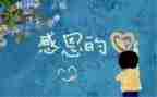 教师感恩活动总结参考7篇