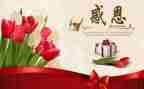 感恩学校演讲稿5篇