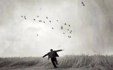 告别前的演讲稿推荐7篇