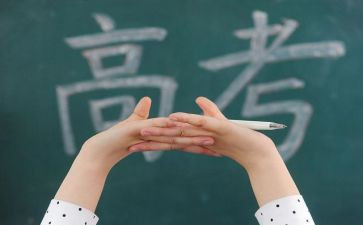 2024政治高三工作总结模板8篇