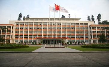 高校新进教师的工作总结6篇