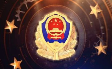 公安组工作总结参考5篇