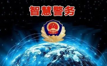 公安组工作总结推荐6篇