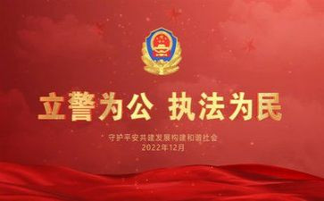公安组工作总结5篇