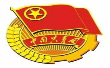 区共青团工作总结推荐5篇
