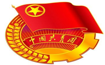 区共青团工作总结模板7篇