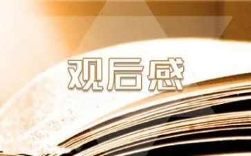 消防安全观后感心得体会6篇