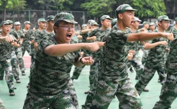 观训心得体会3000字8篇
