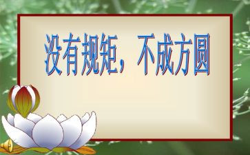 懂纪律守规矩心得体会模板6篇