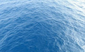 海训演讲稿通用6篇