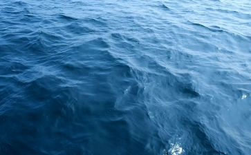 海训保障心得体会7篇