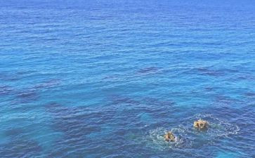 阔的海演讲稿参考8篇