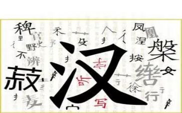 汉字抱的演讲稿优质8篇