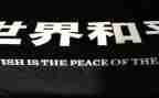 为了和平观看心得体会7篇