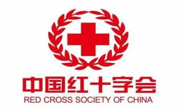 学校红十工作计划模板6篇