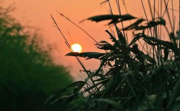 秋天得怀念教案参考6篇