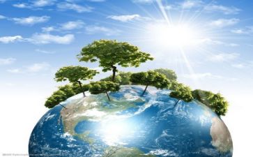 环保的教案优质7篇