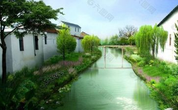 调查环境报告作文300字优秀6篇