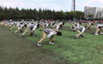 会操心得体会600字8篇