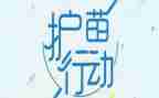 2023护苗行动心得体会8篇