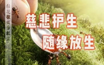 保护生态环境教案8篇
