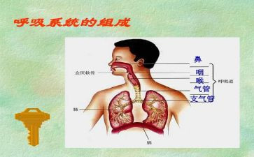 呼吸的演讲稿6篇