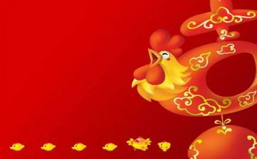 找鸡蛋教案推荐5篇