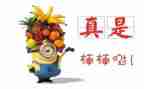 嘉奖事迹材料500字6篇