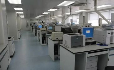 检测工作总结报告5篇