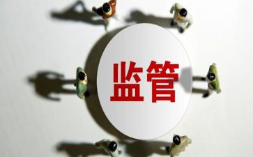 村监督委工作总结优质5篇