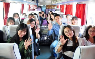 见习教教师总结最新8篇