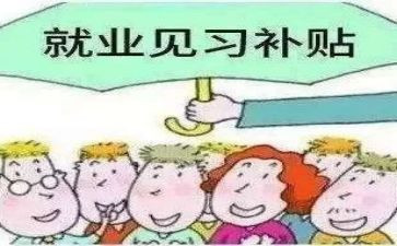 教育见习心得体会8篇